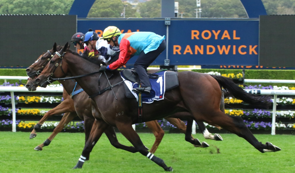 嘉應(yīng)高昇蘭域馬場(chǎng)試閘跑第三 潘頓：表現(xiàn)合格仍須提升狀態(tài)