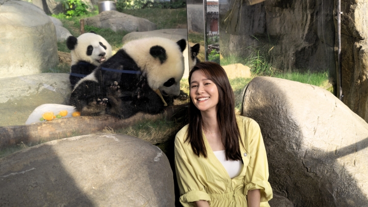 有片｜【娛樂(lè)】黃翠如製「冰月餅」 為熊貓寶寶賀中秋