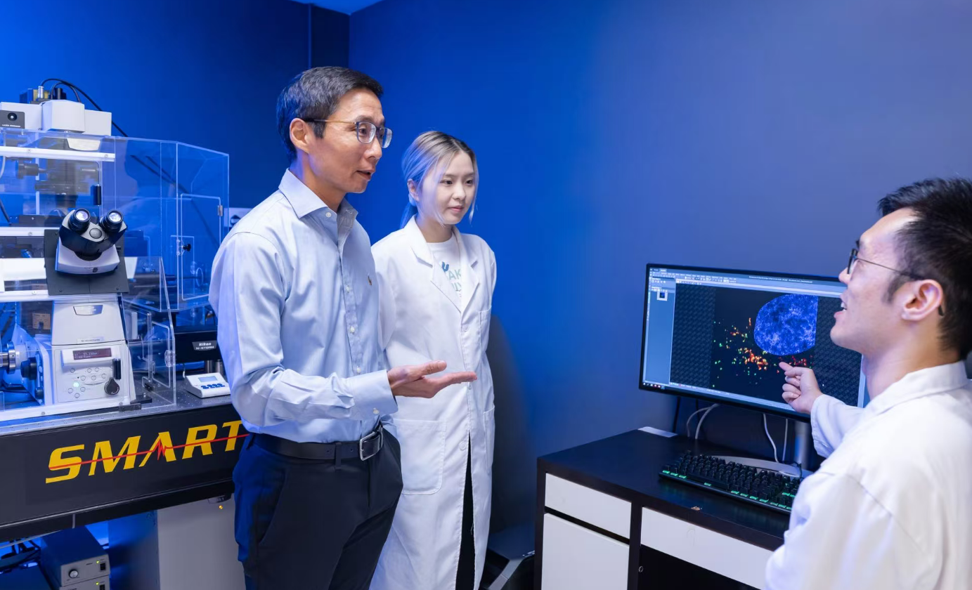 理大研究破解中藥提取物粉防己鹼關(guān)鍵標(biāo)靶機(jī)制 有望為病毒感染、阿茲海默癥提供新治療策略