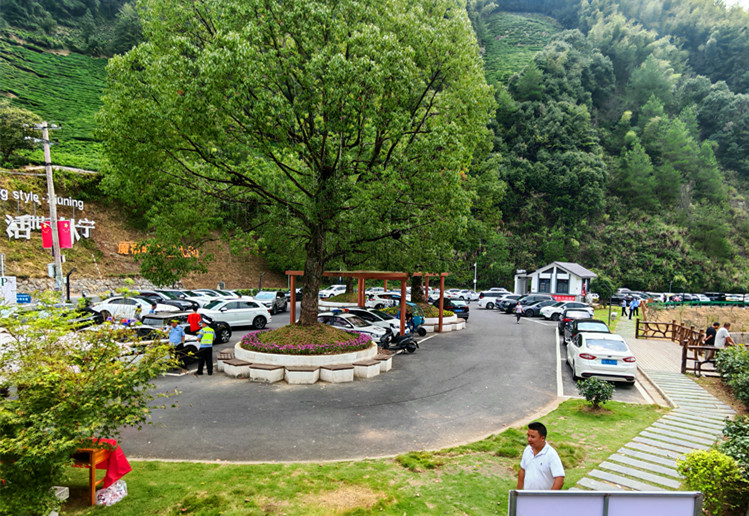 「風(fēng)景+場景+情景」三景融合   皖休寧三棵樹景區(qū)假日經(jīng)濟(jì)火熱