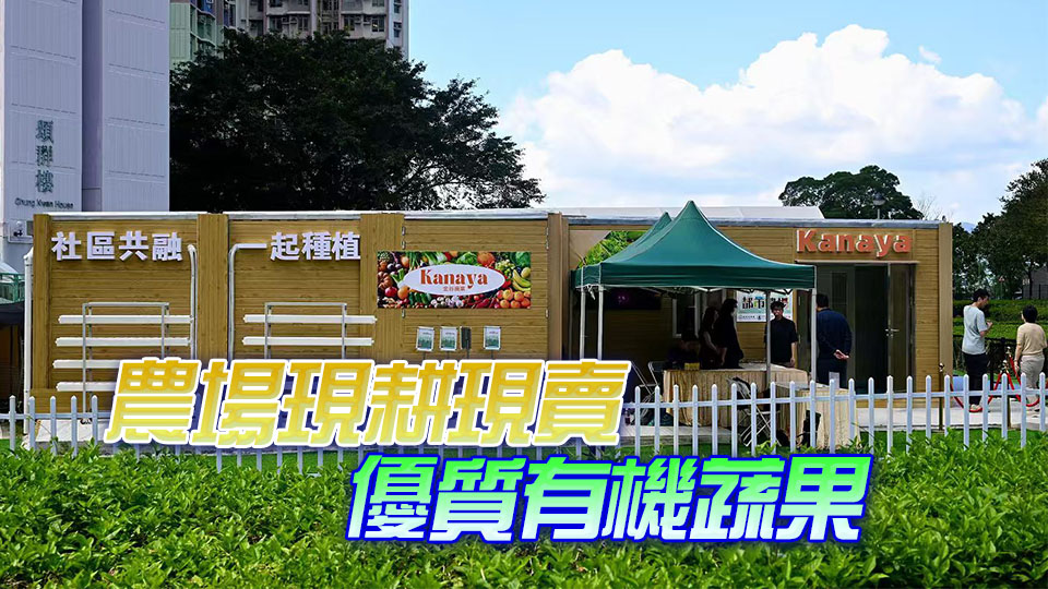 馬鞍山都市農(nóng)場開幕 佔(zhàn)地2000呎生產(chǎn)沙律菜草莓等優(yōu)質(zhì)蔬果