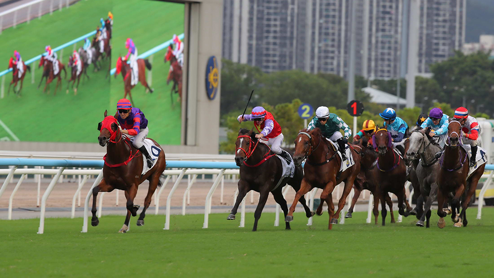 有片丨「關鍵所在」爆66倍冷門捧中華游樂會挑戰(zhàn)盃