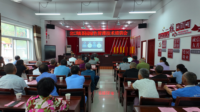 皖歙縣：培訓(xùn)進(jìn)茶區(qū) 茶園更「綠色」