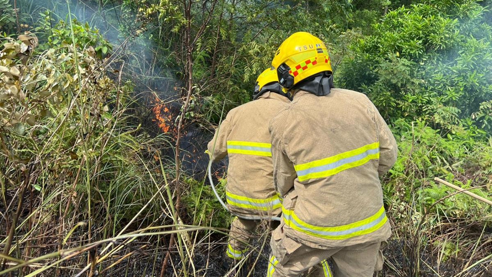漁護署籲重陽節(jié)市民掃墓謹慎處理火種 防止發(fā)生山火