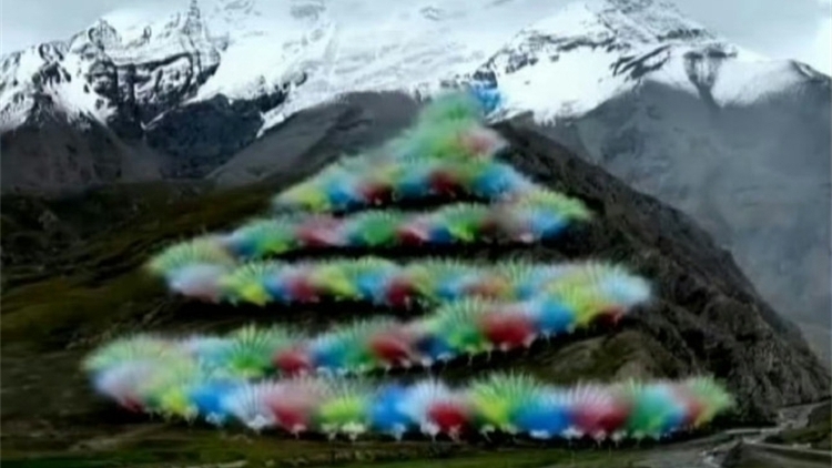 調(diào)查組通報(bào)蔡國(guó)強(qiáng)煙花秀：江孜縣多名幹部被追責(zé)