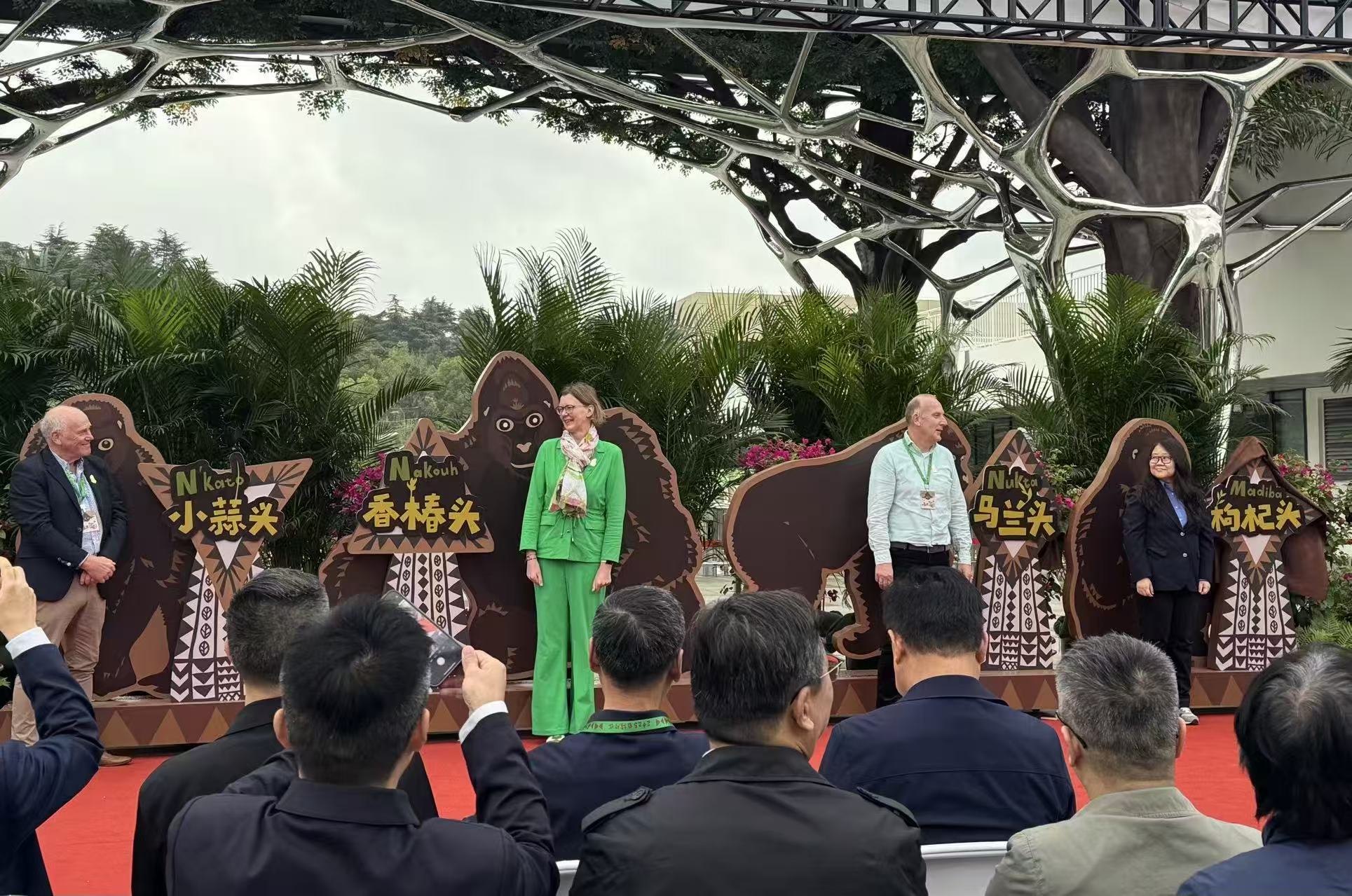 紅山動(dòng)物園新區(qū)開(kāi)放 四隻荷蘭大猩猩獲「南京味」中文名