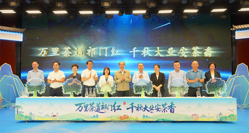 有片丨祁門紅·安茶香    黃山祁門舉辦2025安茶夜露活動暨茶健康產(chǎn)業(yè)發(fā)展大會