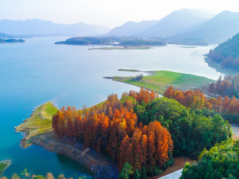 黃山太平湖：邂逅一片紅杉  遇見(jiàn)一灣秋水