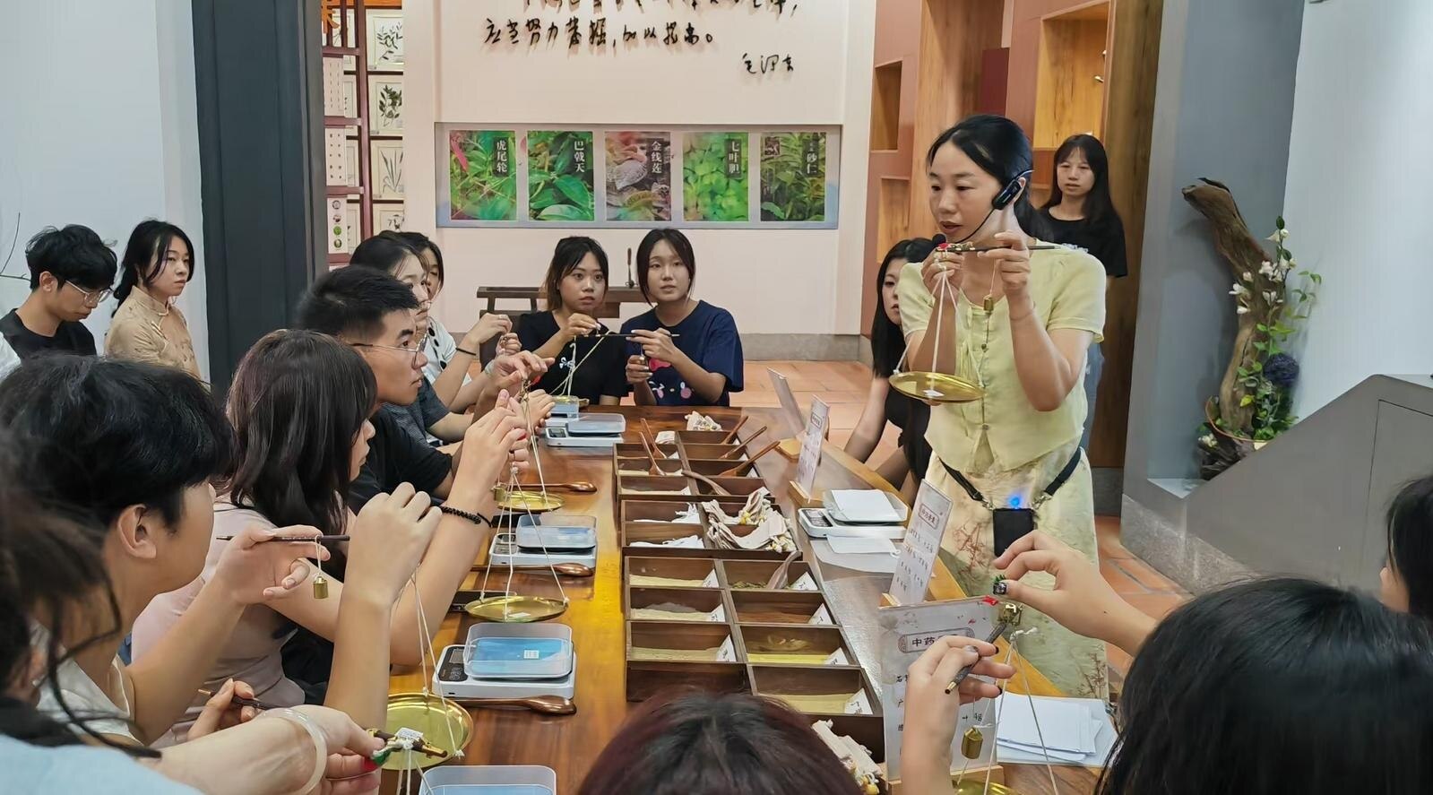 港澳青年在福建漳州開啟中醫(yī)藥文化之旅