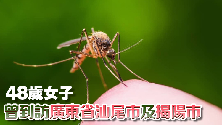 本港新增一宗基孔肯雅熱個(gè)案