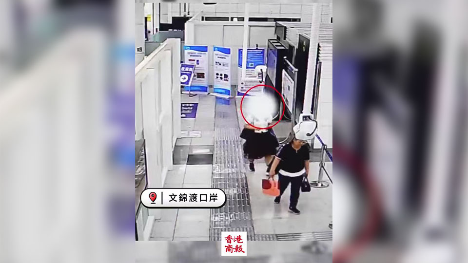 有片｜2名旅客裙內(nèi)藏68隻外來(lái)活體龜 走路僵硬被查