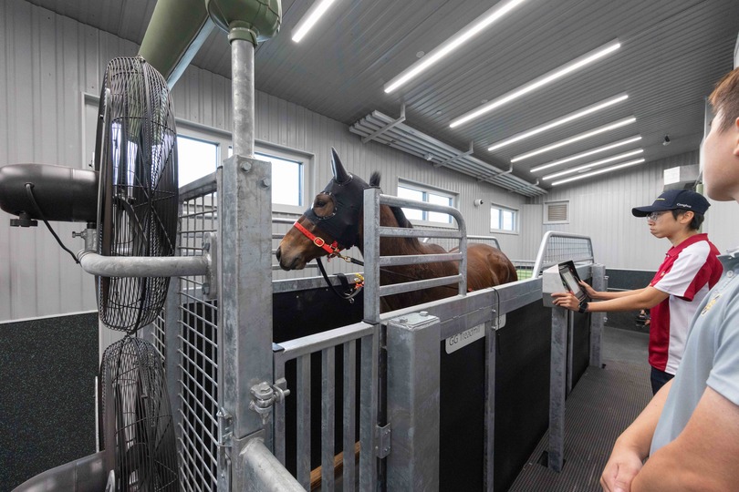 馬會翻新沙田馬場馬房及升級騎師訓(xùn)練設(shè)施 有助維持香港全球純種賽馬運動地位