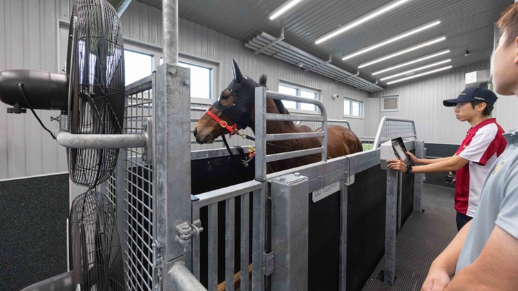 馬會(huì)翻新沙田馬場(chǎng)馬房及升級(jí)騎師訓(xùn)練設(shè)施 助維持香港全球純種賽馬運(yùn)動(dòng)地位