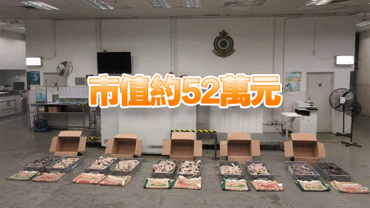 海關(guān)偵破空運(yùn)走私懷疑受管制瀕危物種案件 檢獲約202公斤海參