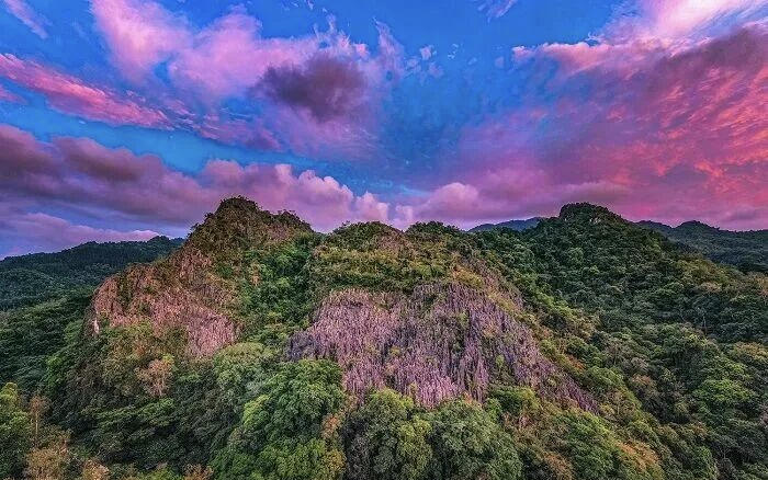 海南熱帶雨林國(guó)家公園：設(shè)立四周年交出亮眼成績(jī)單