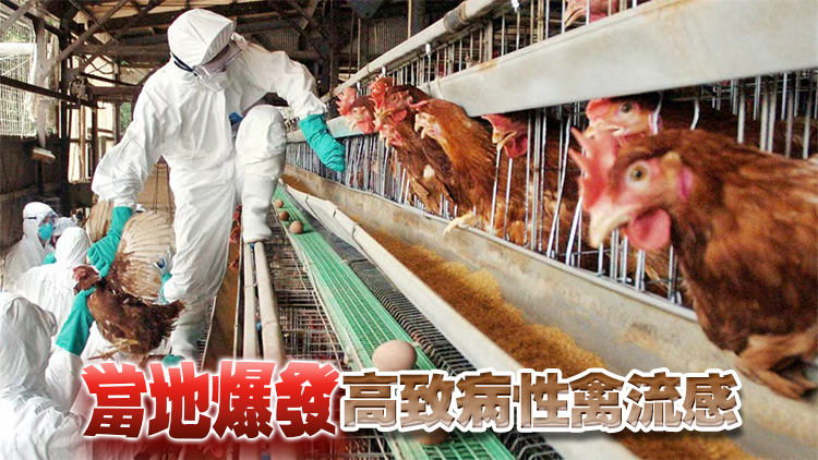 本港暫停進口德國和日本部分地區(qū)禽肉及禽類產(chǎn)品