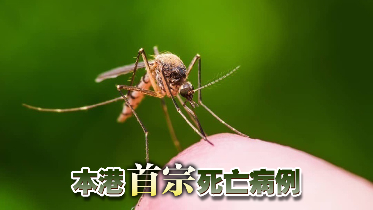 77歲長(zhǎng)期病患男子確診基孔肯雅熱後 併發(fā)多個(gè)器官衰竭死亡