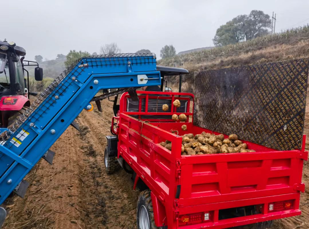 山西婁煩多措並舉助農(nóng)作物喜獲豐收
