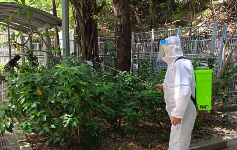 本港現(xiàn)首宗基孔肯雅熱個(gè)案 學(xué)校加強(qiáng)滅蚊及監(jiān)察學(xué)生情況