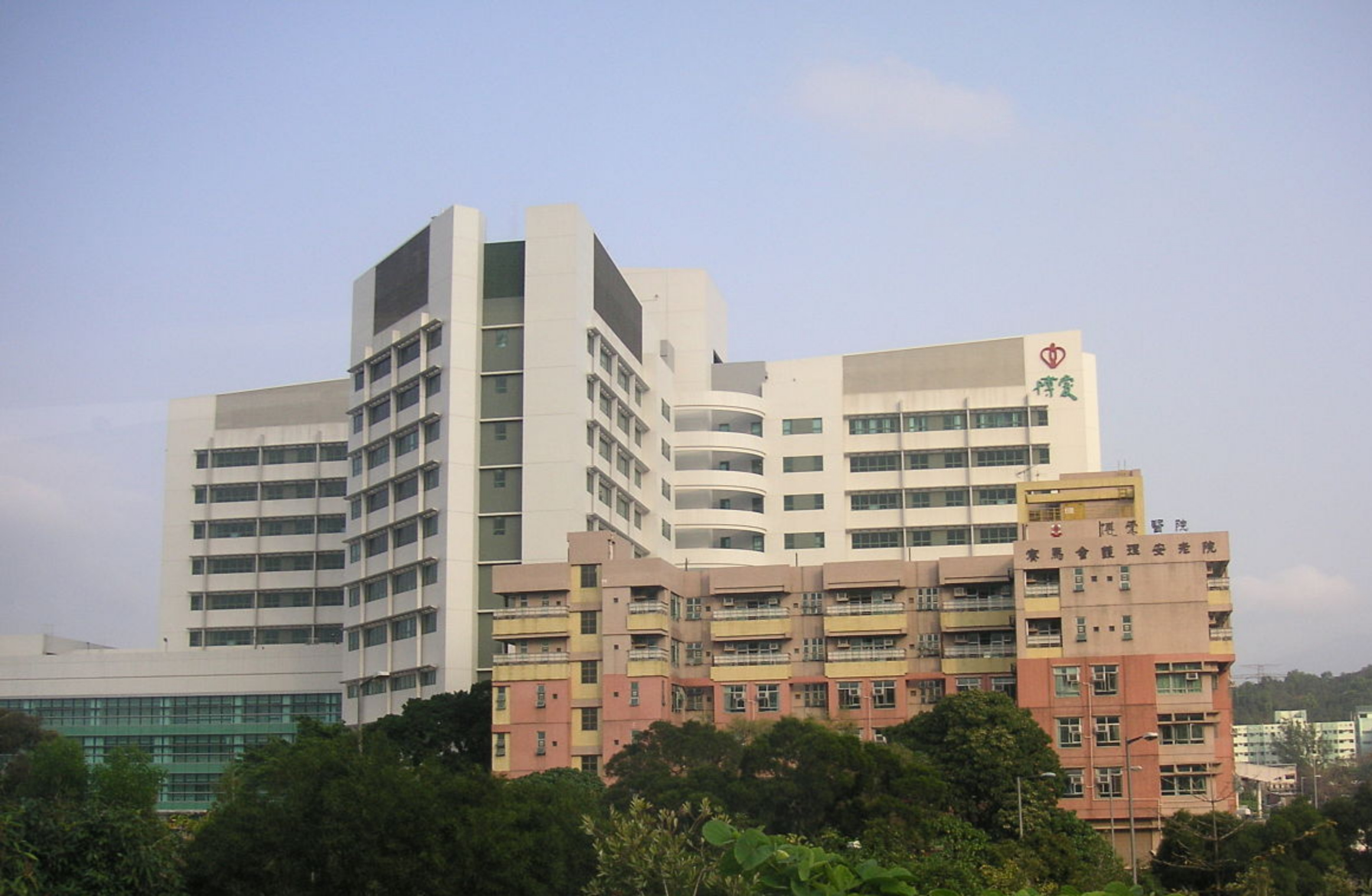 元朗老婦疑食魚蛋鯁喉 送院搶救後不治