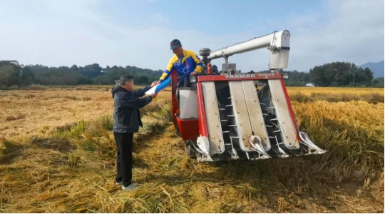 皖黟縣：農(nóng)機護(hù)航保豐收