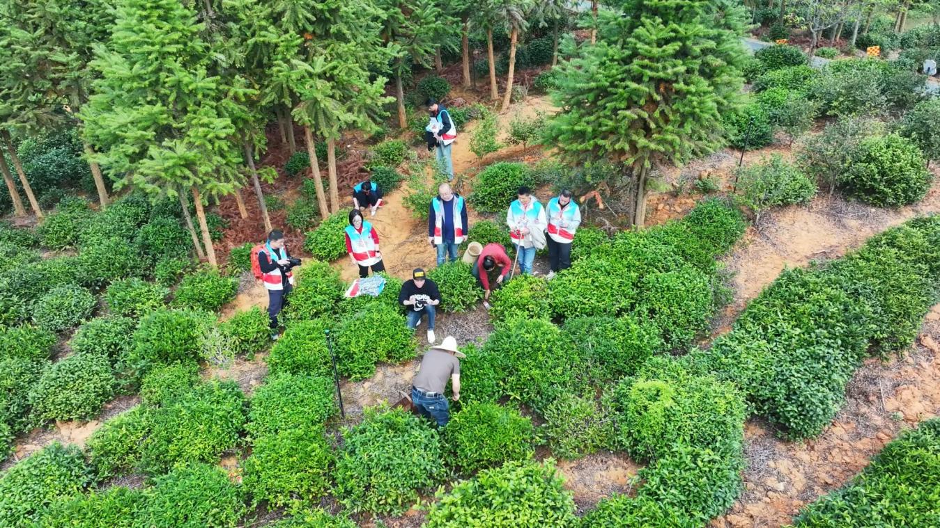 皖祁門縣：「星推官」特訓(xùn)營圓滿結(jié)業(yè)