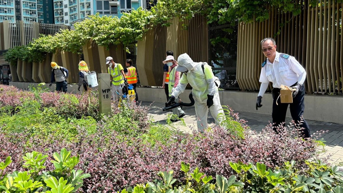 食環(huán)署：會在基孔肯雅熱患者確診後到住所進(jìn)行滅蚊