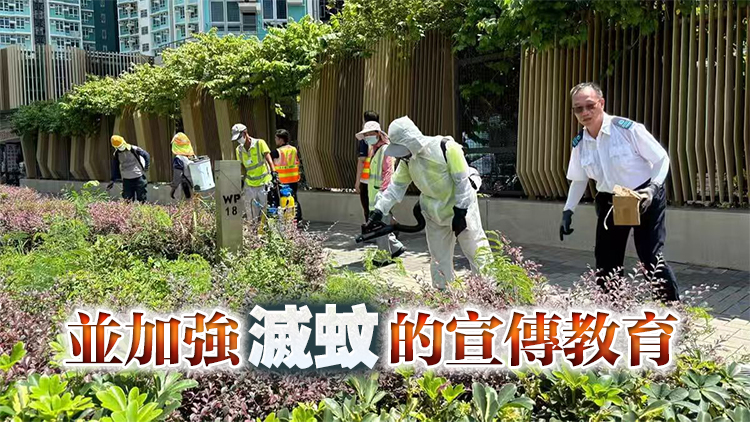 食環(huán)署：會(huì)在基孔肯雅熱患者確診後到住所進(jìn)行滅蚊