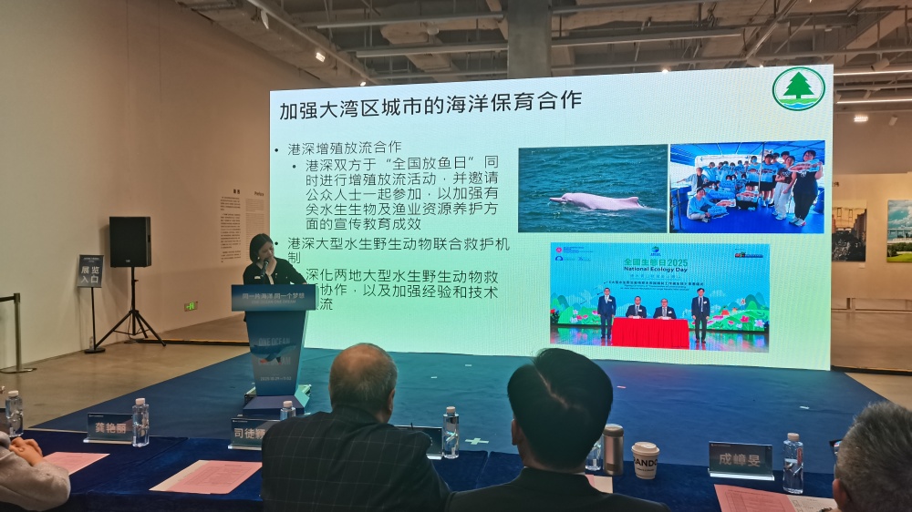 2025深圳國(guó)際海洋周啟幕  港深開展四方面海洋保育合作