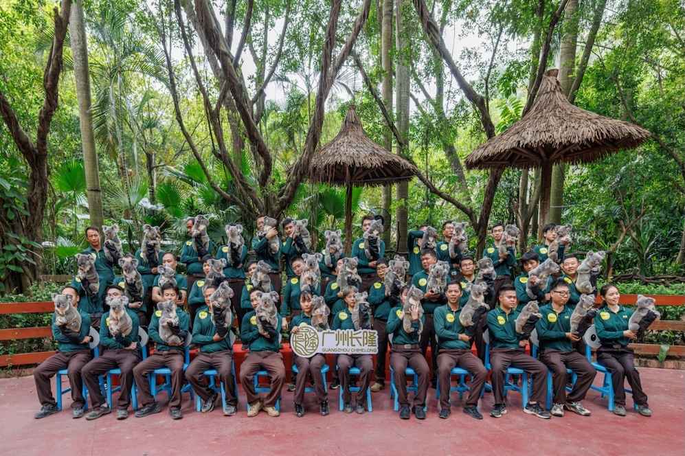 「觀賽+旅行」 長隆度假區(qū)推出重磅優(yōu)惠迎十五運(yùn)