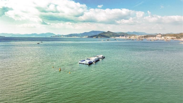 南澳海面化身「實(shí)景試驗(yàn)場」