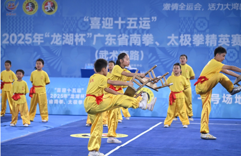 精英雲(yún)集武動龍湖：2025「龍湖杯」廣東南拳太極拳精英賽圓滿舉行