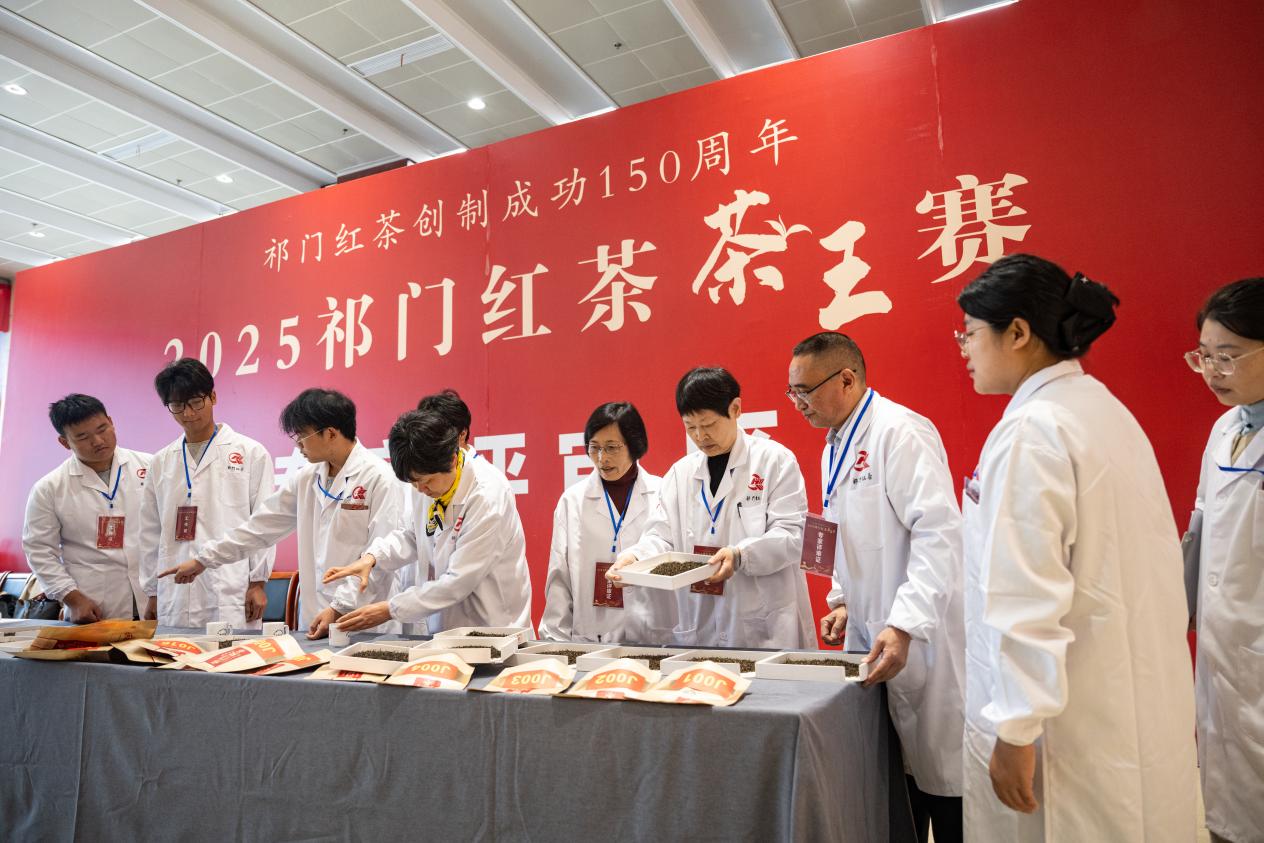 皖祁門縣：2025年祁門紅茶「茶王賽」結(jié)果揭曉
