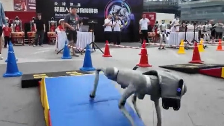 首屆機(jī)器人機(jī)器狗障礙賽在龍崗舉行