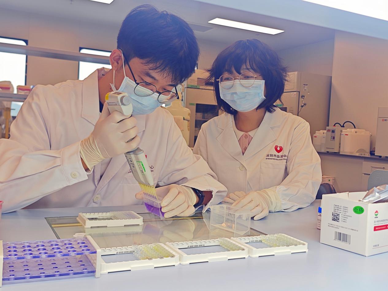 一次跨城的生命接力：深圳常態(tài)化血小板精準(zhǔn)配型能力惠及灣區(qū)