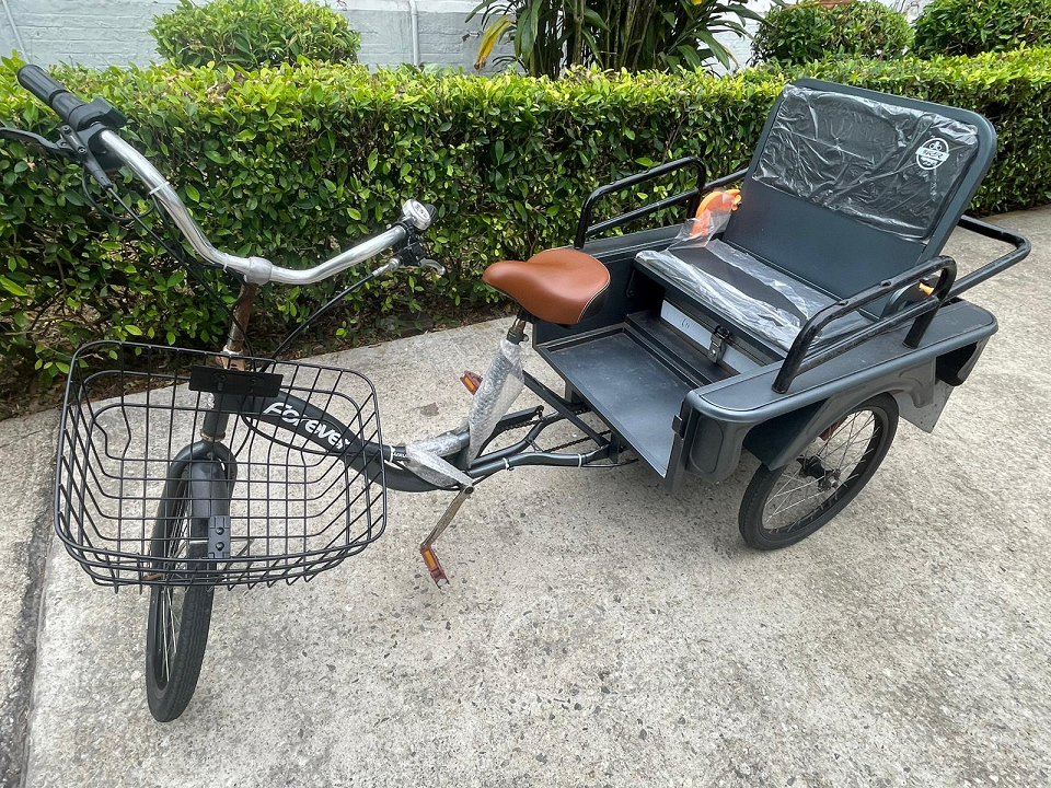 警方長(zhǎng)洲打擊駕電動(dòng)三輪車 拘捕一名六旬?huà)D