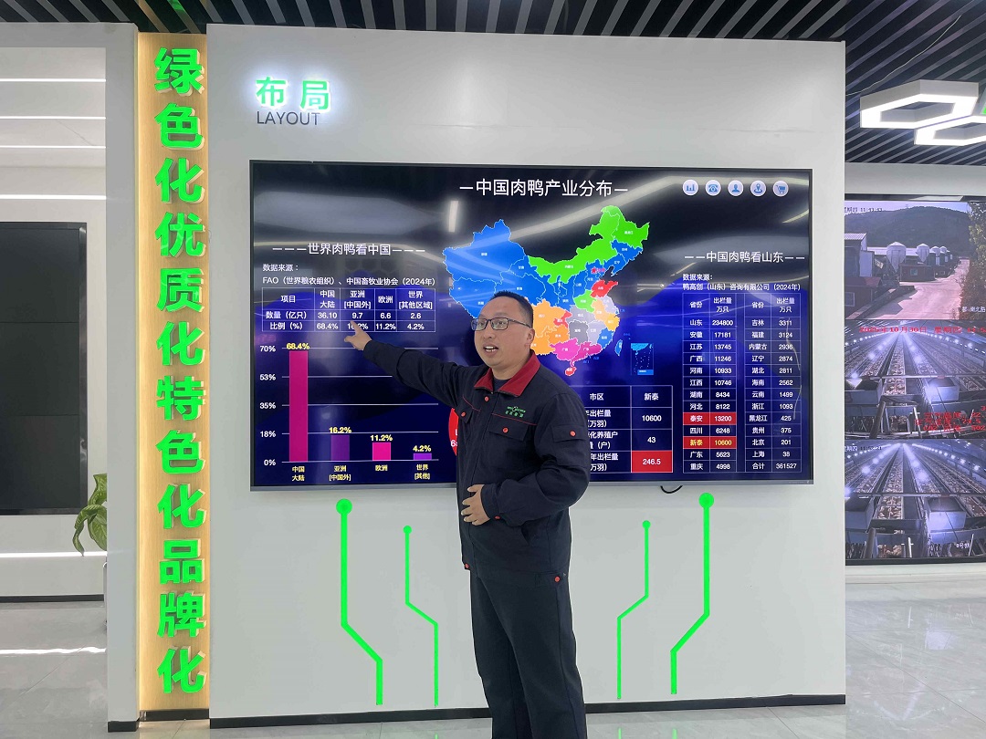 【粵港澳媒體看山東】年產(chǎn)值200億！走進(jìn)「中國肉鴨之都」新泰