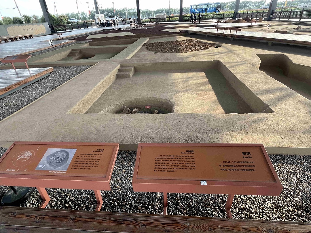 【粵港澳媒體看山東】走進(jìn)大汶口遺址探尋神秘海岱文明