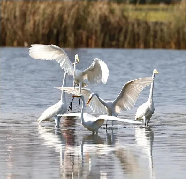 走，一起到海南「追鳥」去！