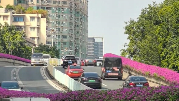 十五運(yùn)會(huì)廣州單雙號(hào)限行首日，市區(qū)交通顯著改善