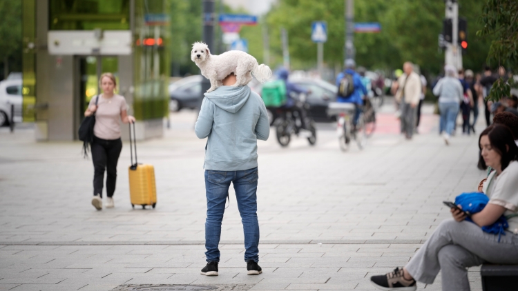 波蘭將啟動全民軍事培訓(xùn)計(jì)劃