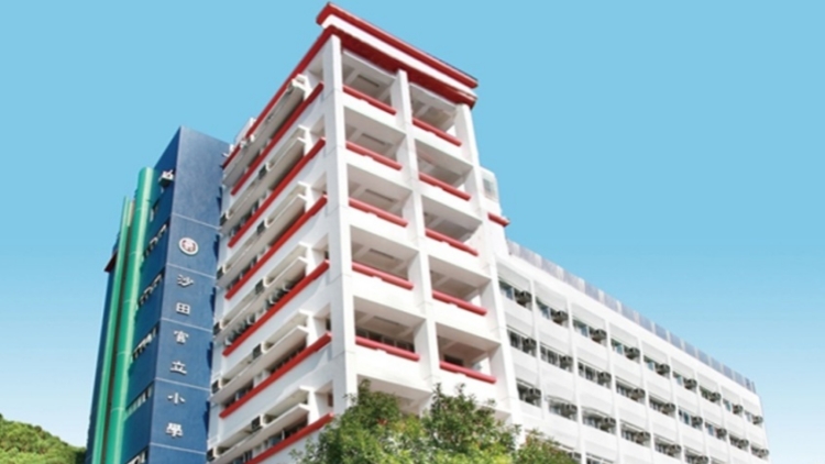 沙田官小準(zhǔn)以簡體字應(yīng)考 教育局：教學(xué)語言政策不變