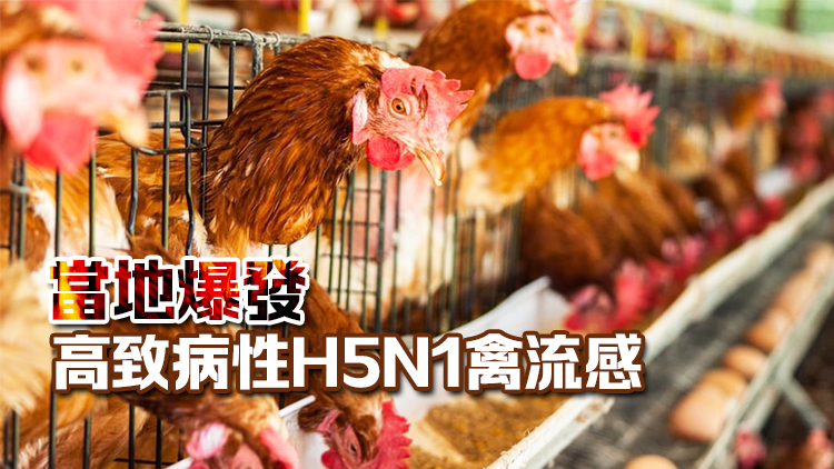 本港暫停進(jìn)口愛(ài)爾蘭卡爾洛郡禽肉及禽類產(chǎn)品