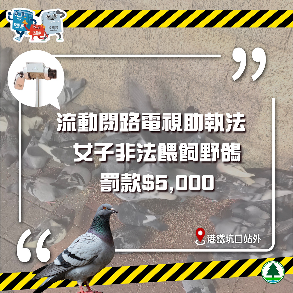 漁護(hù)署流動(dòng)閉路電視助執(zhí)法 女子涉非法餵飼野鴿收告票
