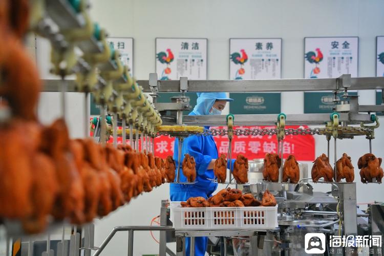 當山東樂陵非遺「老字號」遇上新質(zhì)生產(chǎn)力