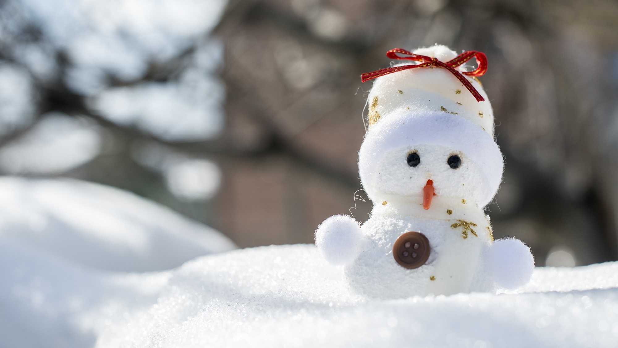 【健康】立冬養(yǎng)生 補(bǔ)腎防寒