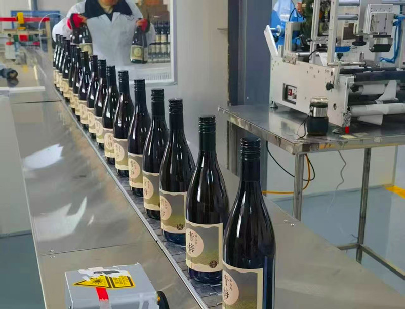 皖黟縣西遞鎮(zhèn)：「六聯」抱團青梅「爍金」