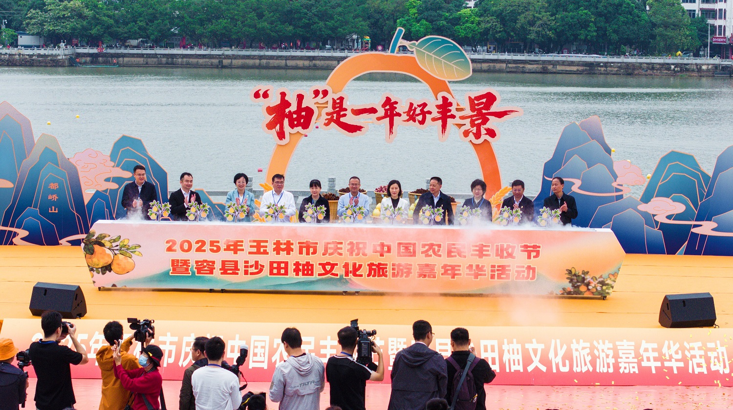 【僑鄉(xiāng)容縣】黨建引領(lǐng)沙田柚產(chǎn)業(yè)加速跑