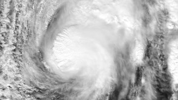 颱風「鳳凰」已進入南海 廣東啟動防風Ⅳ級應(yīng)急響應(yīng)