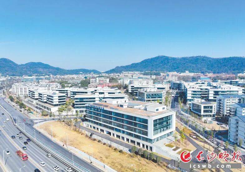 破繭記：長沙大學(xué)生創(chuàng)業(yè)者的逆襲劇本——青春長沙、機遇之城系列報道之四